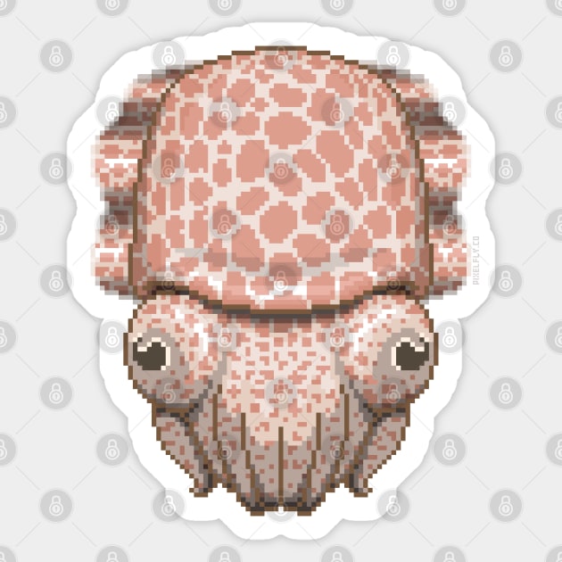 Baby Cuttlefish Sticker by PIXELFLY